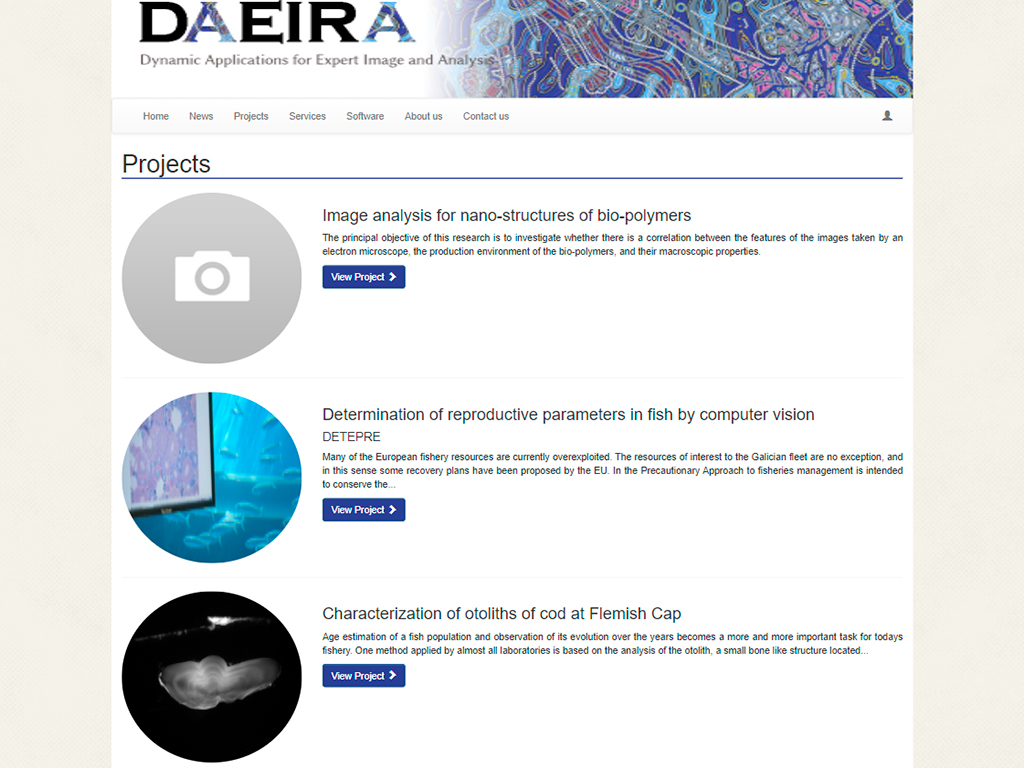 Captura de la vista de proyectos de la aplicación web DAEIRA